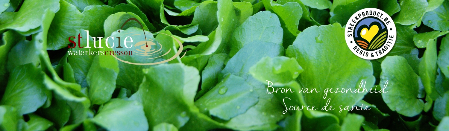 Header1