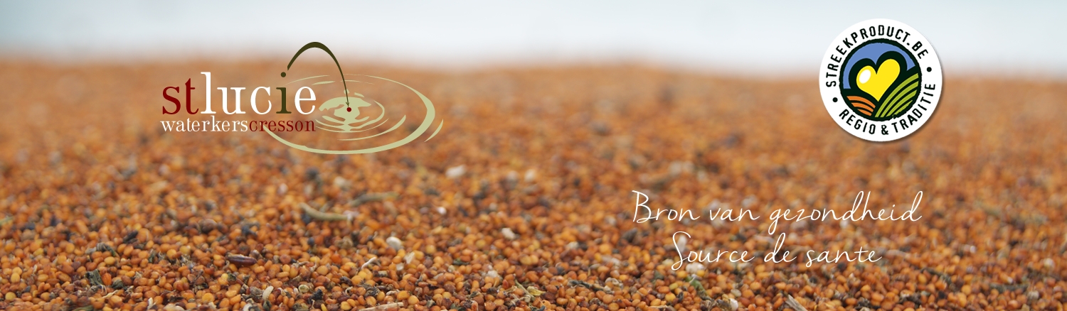 Header3